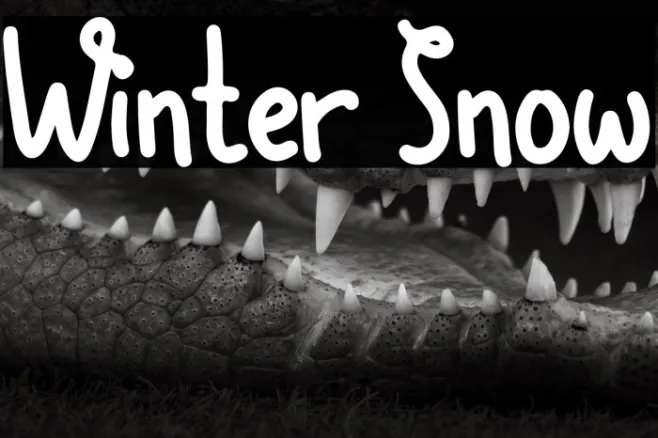Winter Snow Example 1