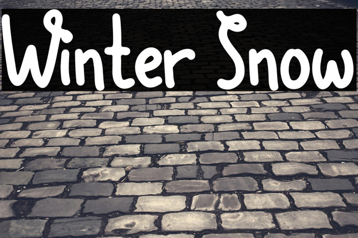 Winter Snow Example 2