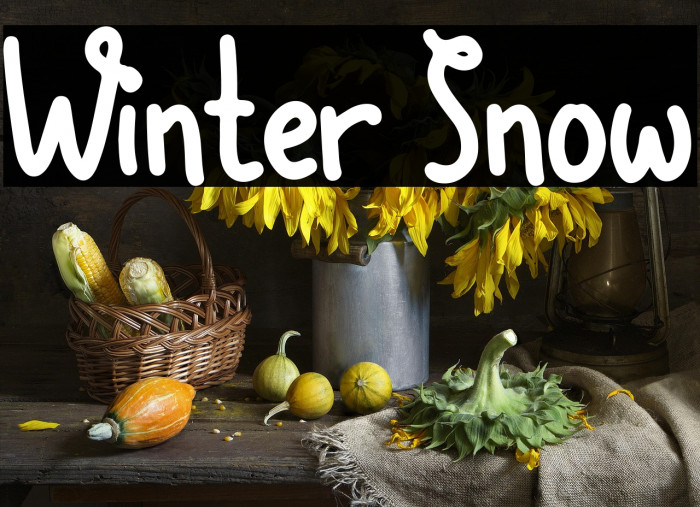 Winter Snow Example 3