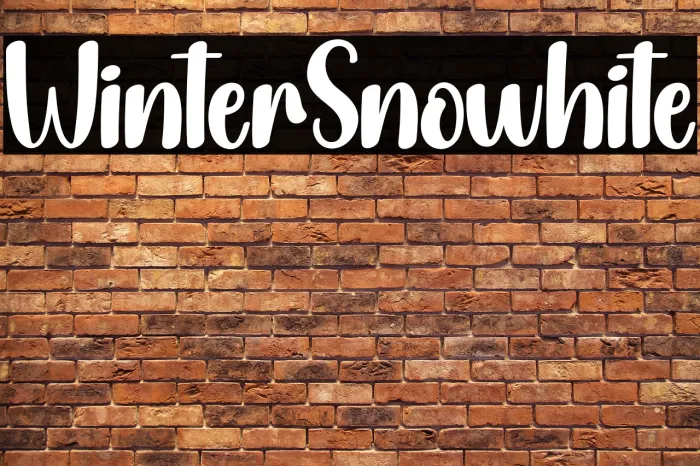 Winter Snowhite Example 2