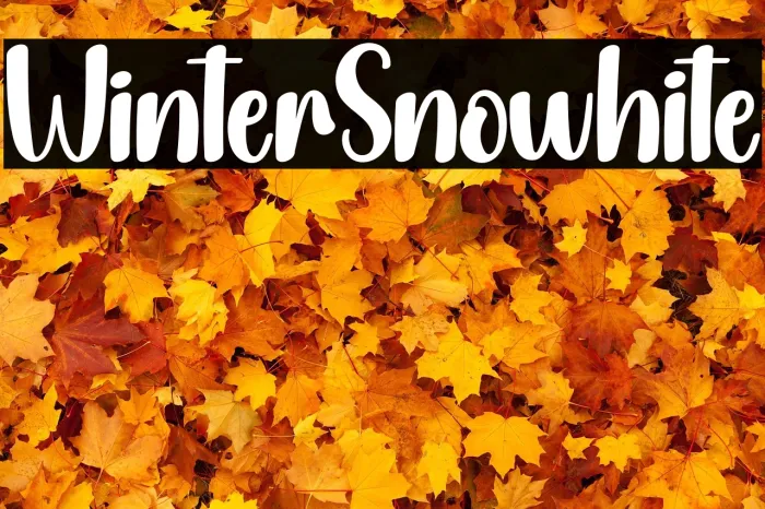 Winter Snowhite Example 3
