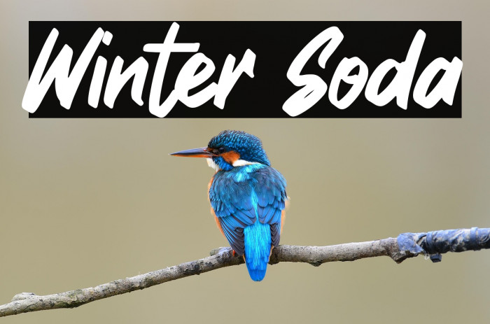 Winter Soda Example 1