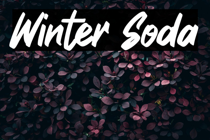 Winter Soda Example 2