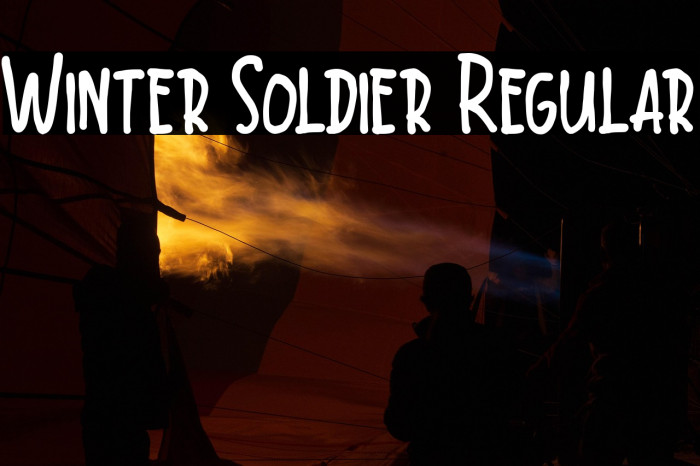 Winter Soldier Regular Example 2