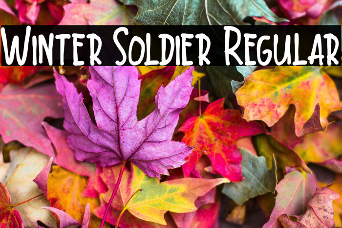 Winter Soldier Regular Example 3