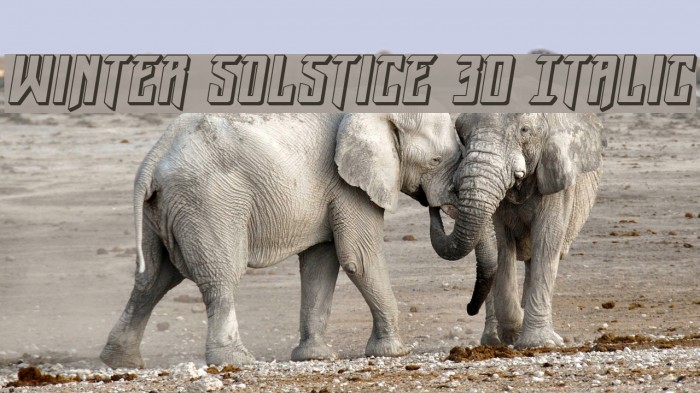 Winter Solstice 3D Italic Font examples