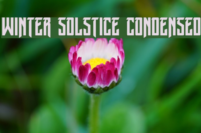 Winter Solstice Condensed Font examples
