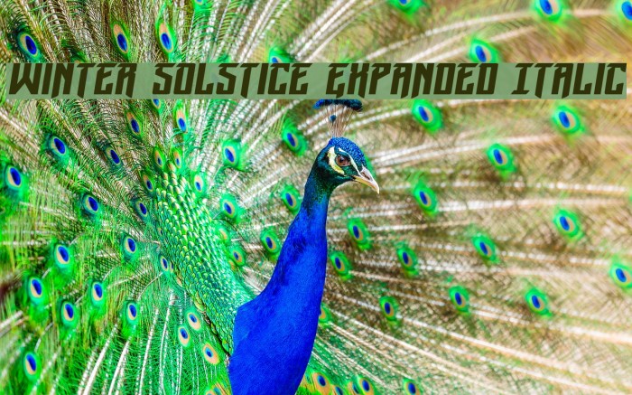 Winter Solstice Expanded Italic Example 3