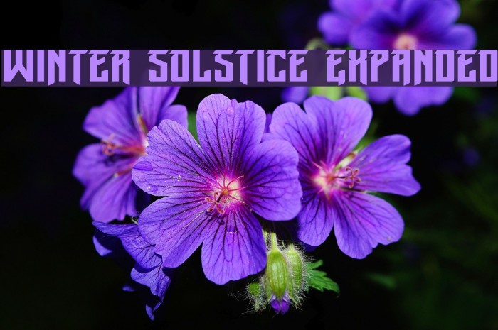 Winter Solstice Expanded Font examples
