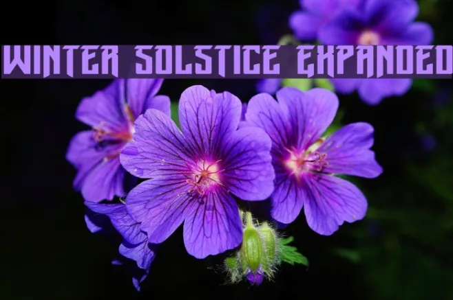 Winter Solstice Expanded Example 2