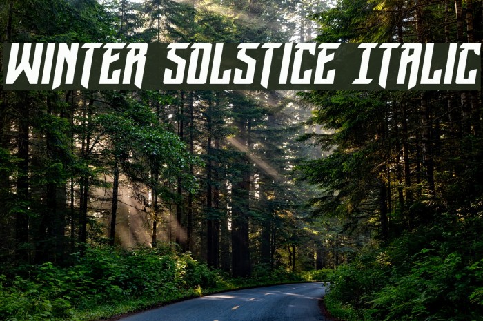 Winter Solstice Italic फ़ॉन्ट examples