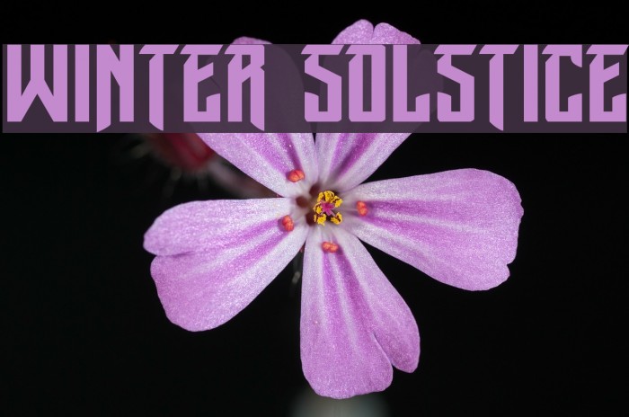 Winter Solstice Font examples