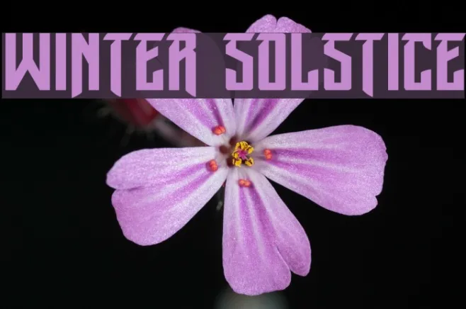 Winter Solstice Example 3