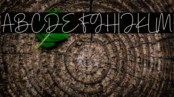 Winter Sonata Example 2