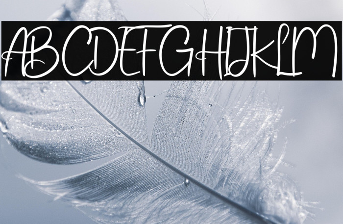 Winter Spesial Example 3