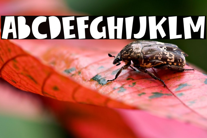 Winter Spring Example 1