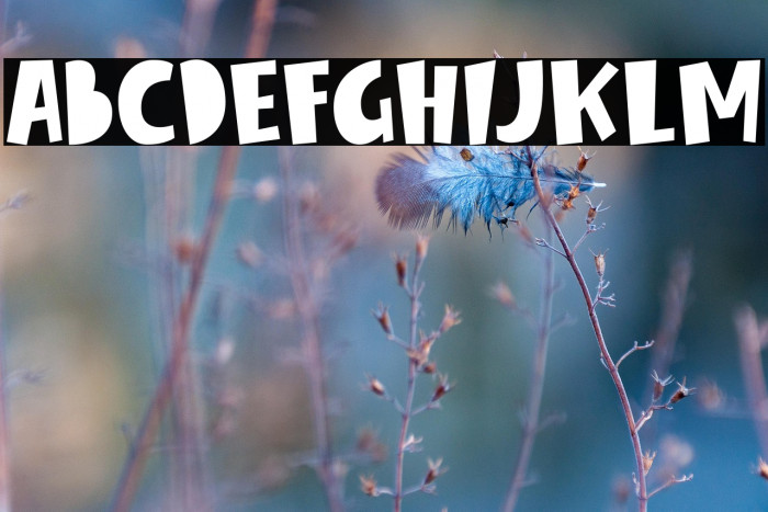 Winter Spring Example 3