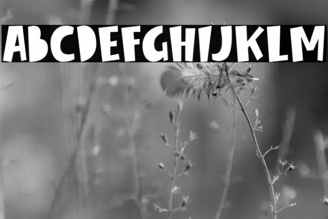 Winter Spring Font examples