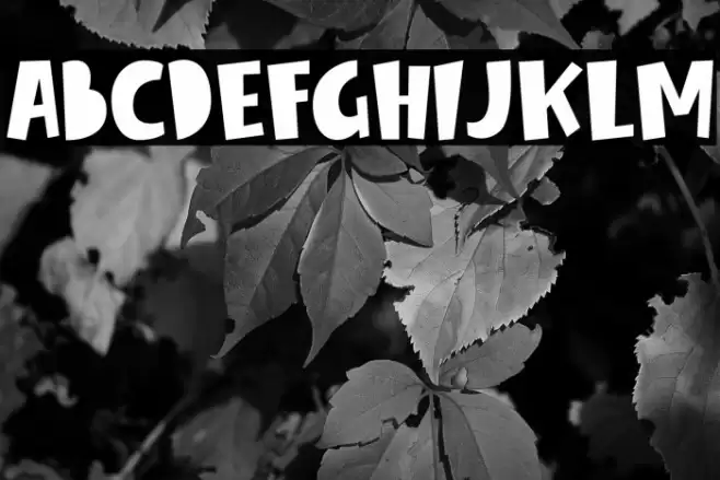 Winter Spring Шрифта examples