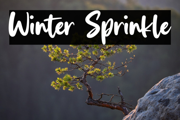 Winter Sprinkle Example 2