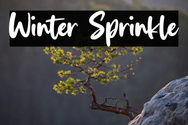 Winter Sprinkle Example 2
