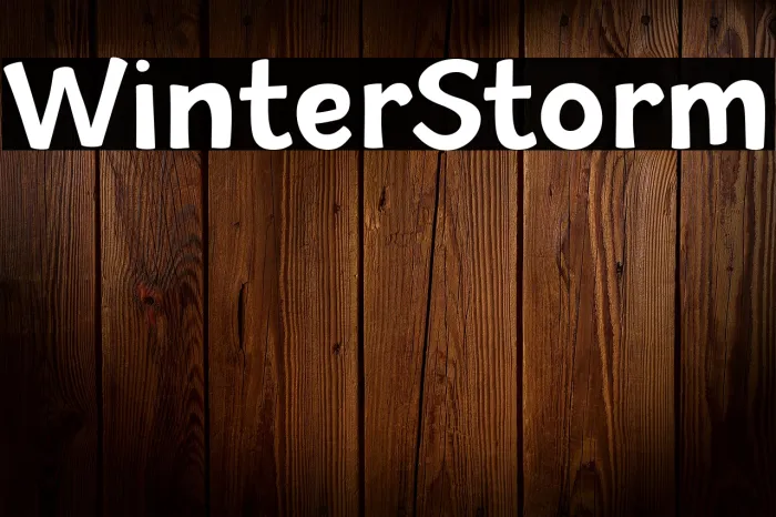 Winter Storm Example 1