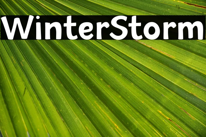Winter Storm Example 2