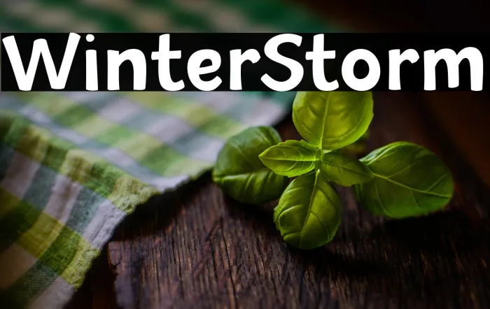 Winter Storm Example 3