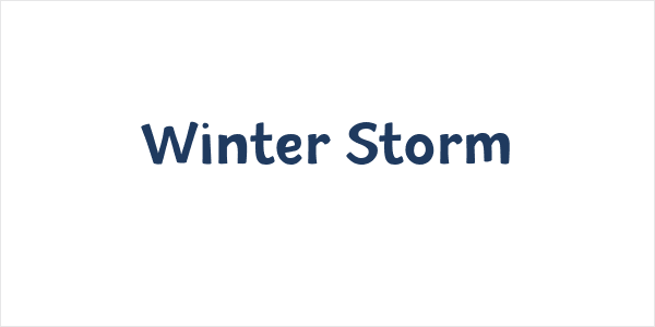 Winter Storm Logo