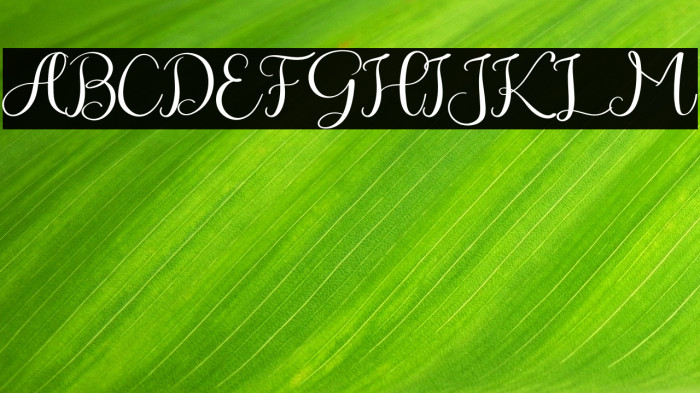 Winter Story Example 2