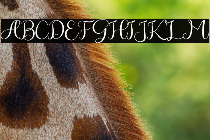 Winter Story Example 3