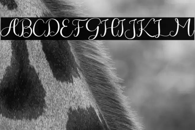 Winter Story Font examples