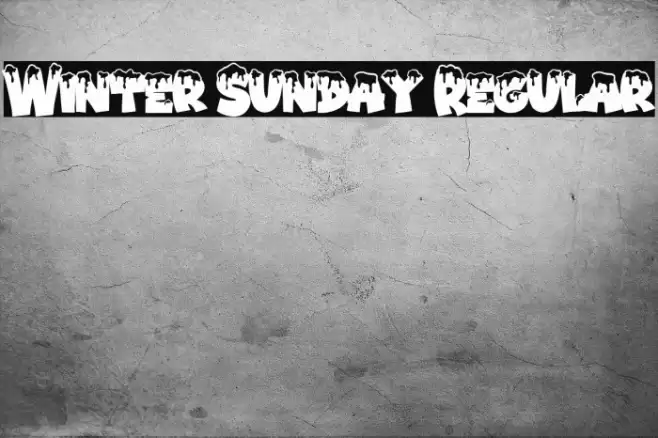 Winter Sunday Regular Font examples
