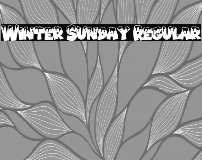 Winter Sunday Regular Font examples
