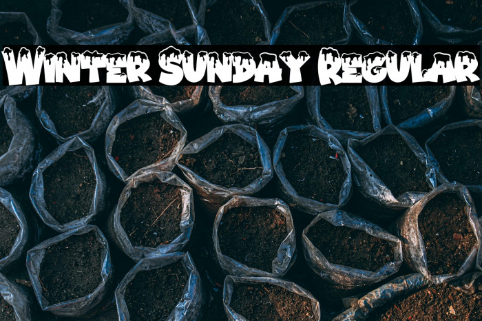 Winter Sunday Regular Example 3