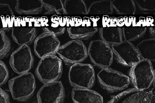 Winter Sunday Regular Font examples