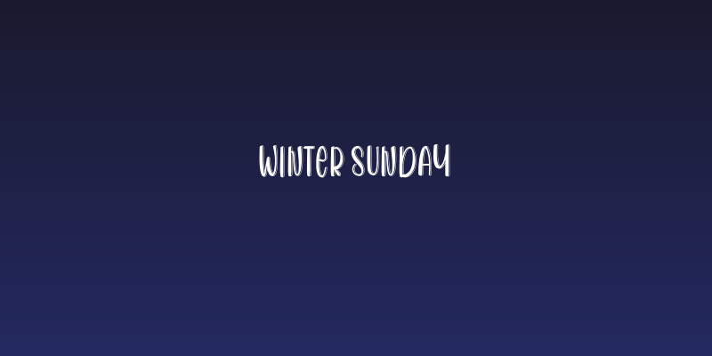 Winter Sunday Social Header