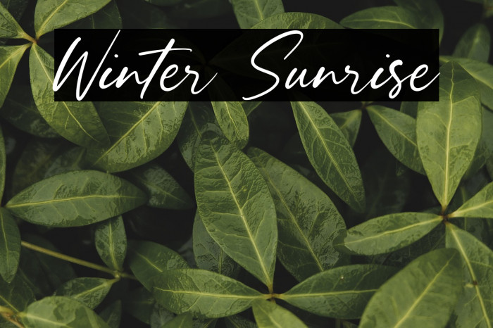 Winter Sunrise Example 2