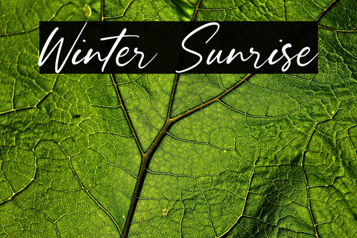 Winter Sunrise Example 3