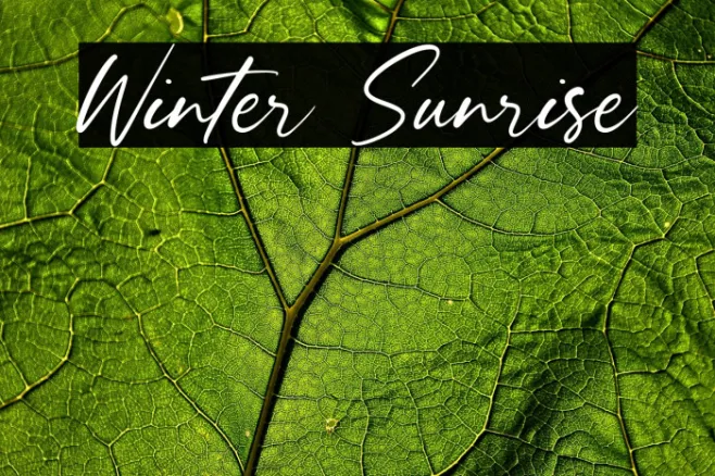Winter Sunrise Example 3