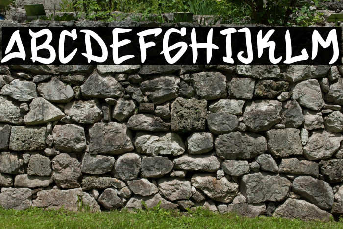 Winter Swash Example 1