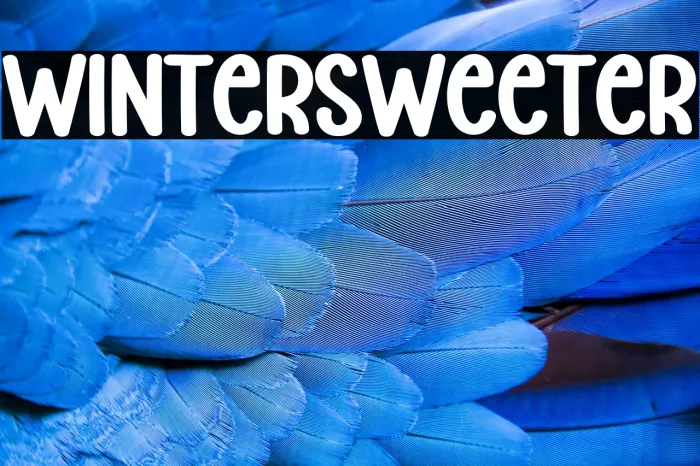 Winter Sweeter Example 2