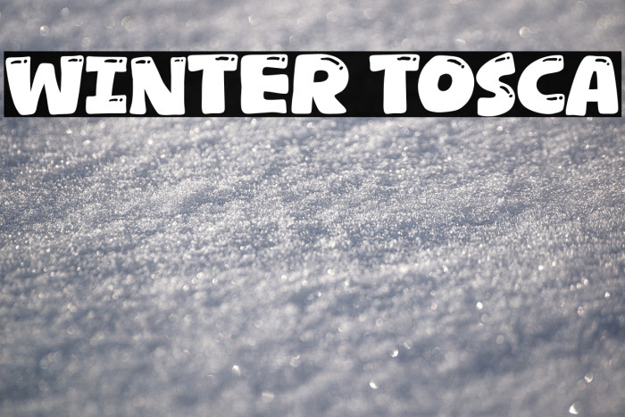 Winter Tosca Example 3