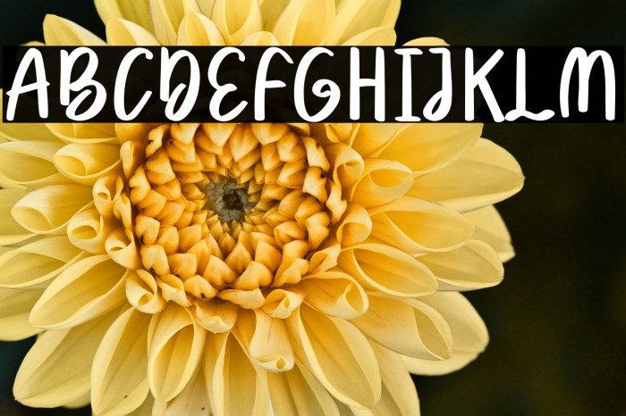 Winter Trees Example 2