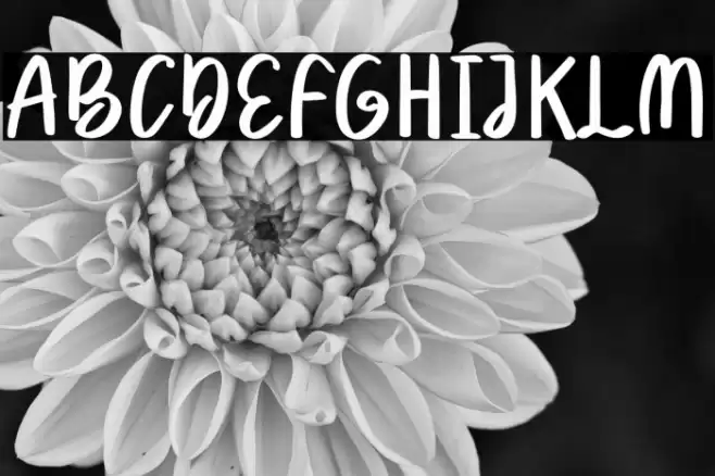 Winter Trees Font examples