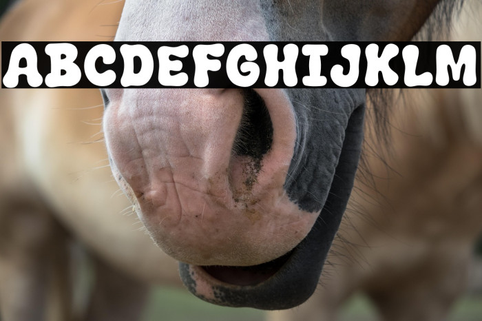 Winter Trendy Example 1