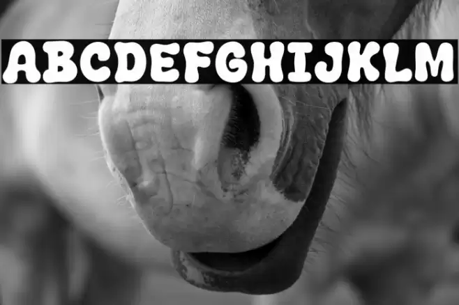 Winter Trendy Font examples