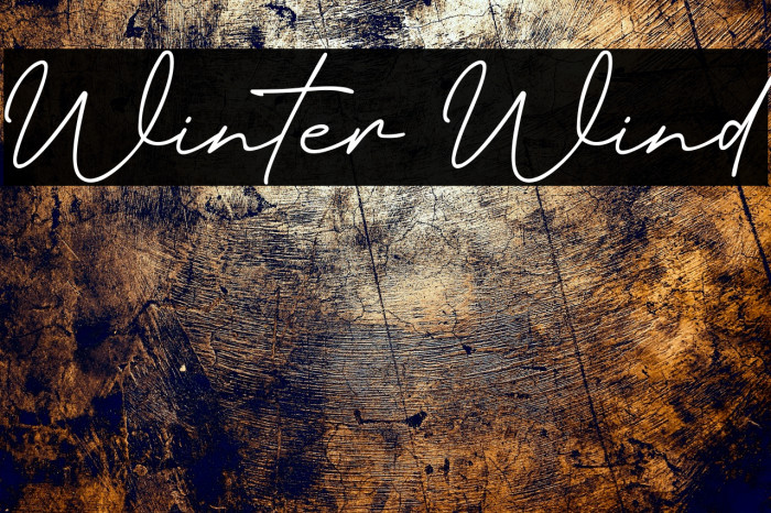 Winter Wind Example 1