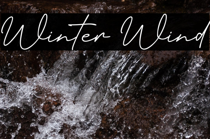 Winter Wind Example 2