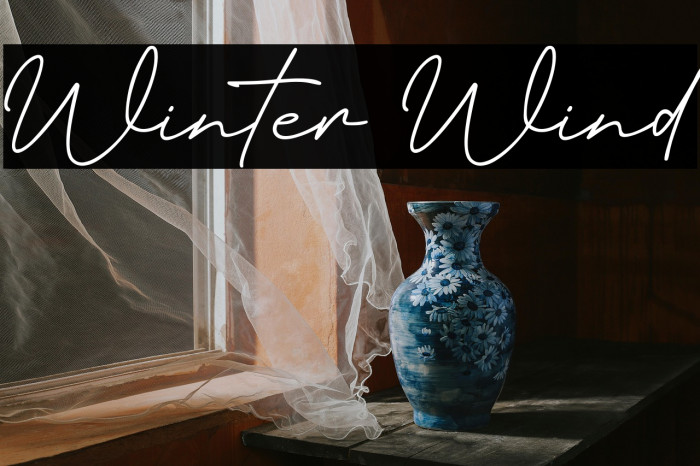 Winter Wind Example 3